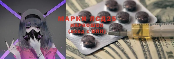 стаф Кукмор