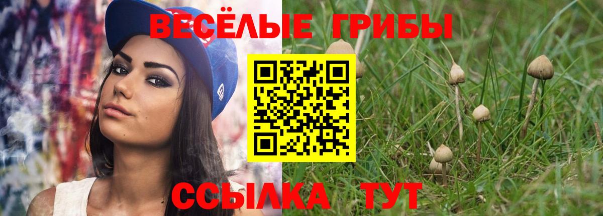 Псилоцибиновые грибы Cubensis Краснокаменск